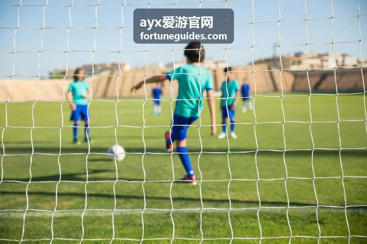 ayx爱游官网会员等级权益展示